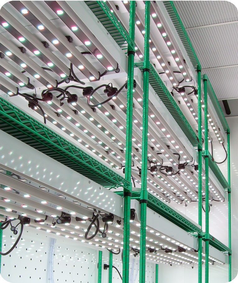 https://www.egc.com/wp-content/uploads/2023/03/LED_Shelves-766x912.jpg